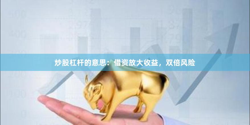 炒股杠杆的意思：借资放大收益，双倍风险