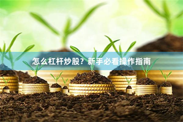 怎么杠杆炒股？新手必看操作指南